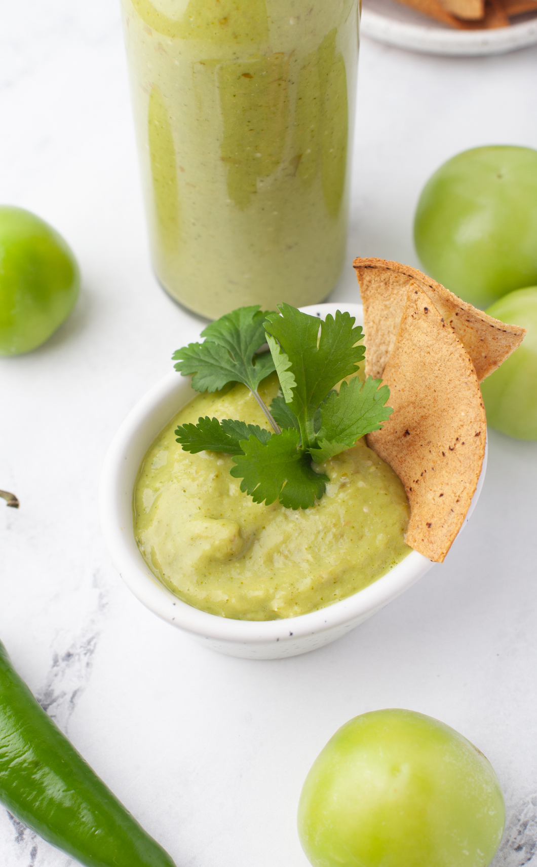 Authentic Mexican Avocado Salsa II