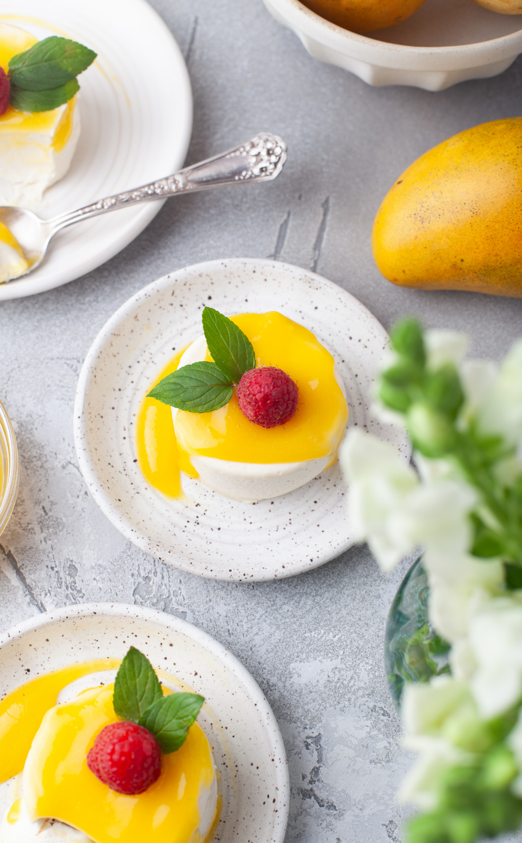 Panna Cotta with Mango Sauce I
