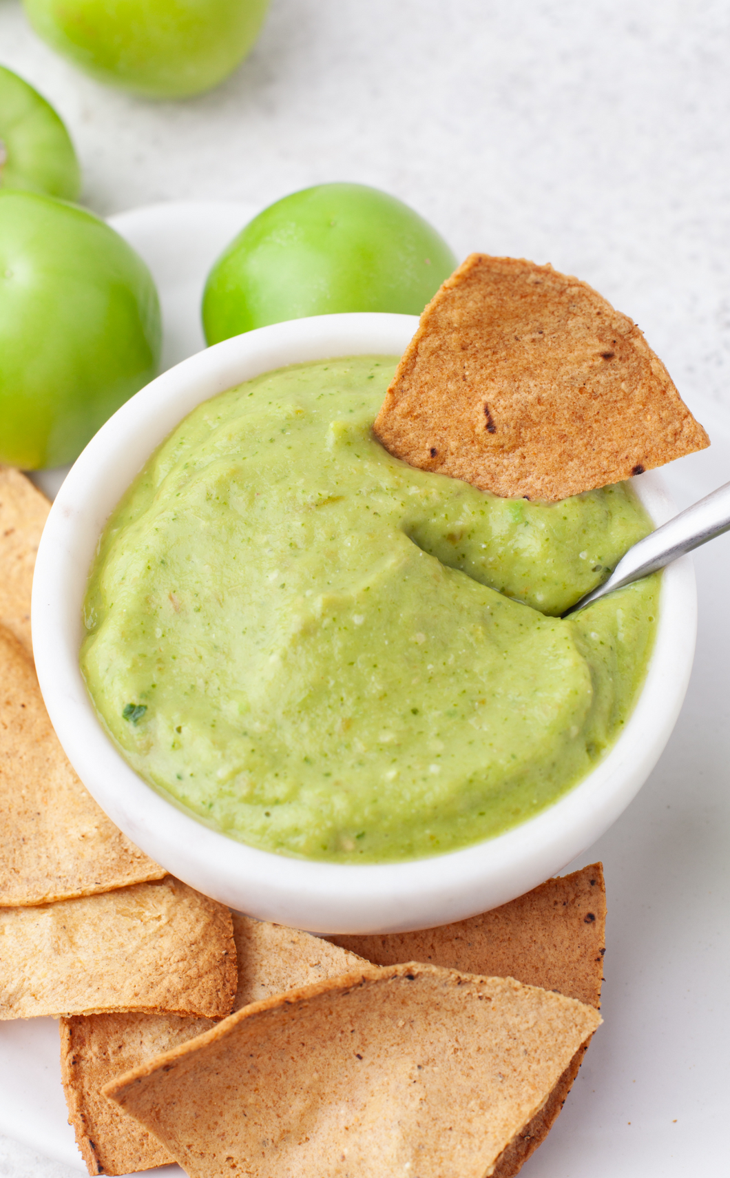 Authentic Mexican Avocado Salsa III