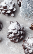 Load image into Gallery viewer, Chocolate Pine Cone Brownies I
